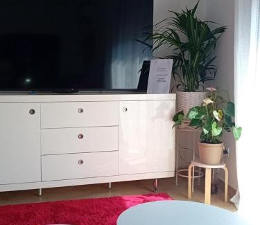 La Canyada dels Pins Apartamento | El estudio de las mariposas,sofa cama , cocina y baño
