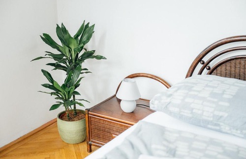 Neulerchenfeld Apartamento | El Gao No13