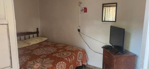 Matehuala Casa | El Jacalito
