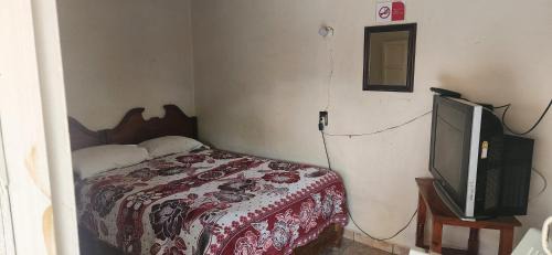 Matehuala Casa | El Jacalito