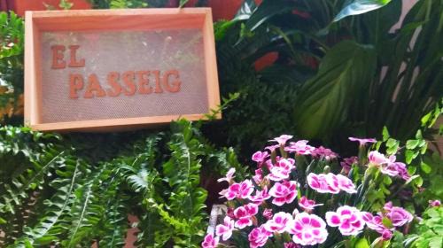 Vilafames Apartamento | El Passeig