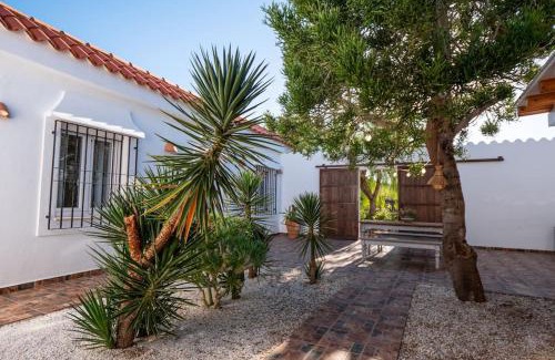 Pujaire Casa | El patio del Fraile