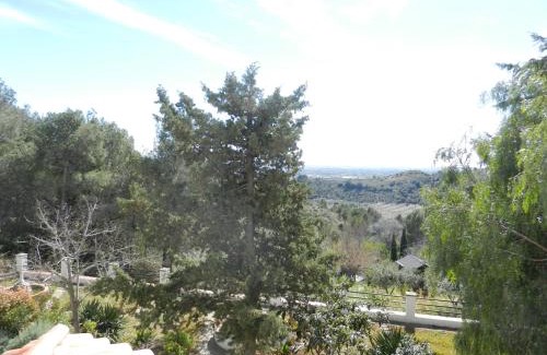 L'Albiol Casa | El Pinaret