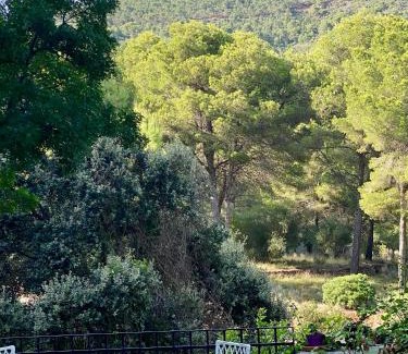 Benicassim Casa | El Refugio Desert de Les Palmes BENICASSIM