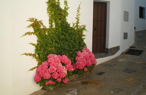 Fregenite Casa | El Retiro