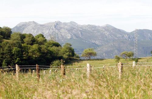 Piloña Casa | El Trebano