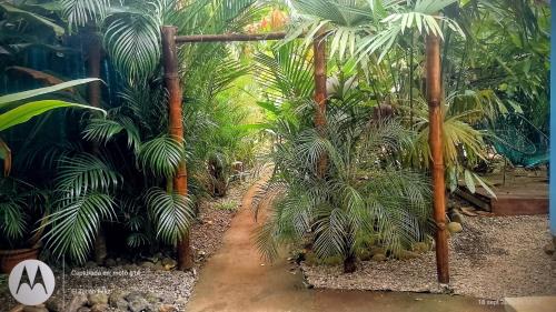 Cocles Apartamento | El Tucán Feliz - Jungle tiny guest house by Playa Cocles
