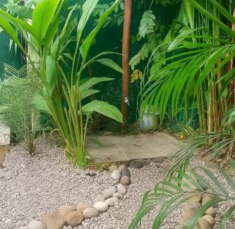 Cocles Apartamento | El Tucán Feliz - Jungle tiny guest house by Playa Cocles