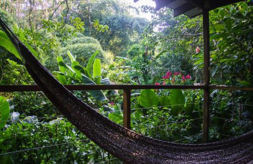 Cocles Cama Y Desayuno | El Tucan Jungle Lodge