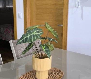 Barreiros Apartamento | El Valle
