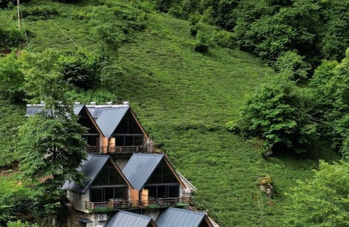 Ayder Hotel | Elamti Bungalov