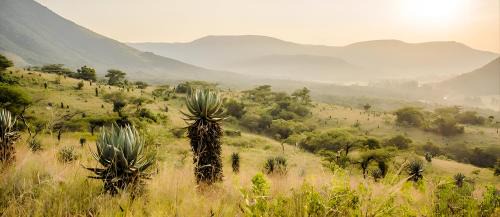 Waterval Boven Otro | Elangeni Holiday Resort