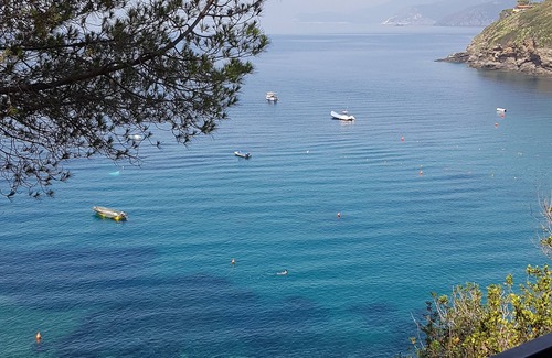 Morcone Apartamento | Isla de Elba directamente en el mar hermosa vista oferta especial wifi gratuito