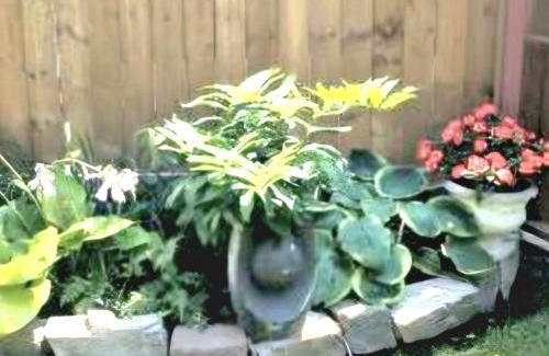 Sandy Hill Apartamento | Elcho ExplOres Ottawa