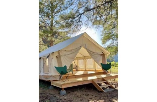 Shoup Alquiler De RV | Elderberry tent, Lewis tent, The Ponderosa Tent & Clarke Tent