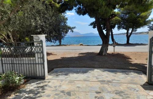 Galaxidi Apartamento | Elea Guesthouse