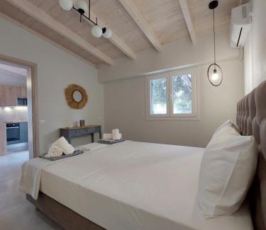 Mpogdanatika Apartamento | Electra Villa & Pool Studios