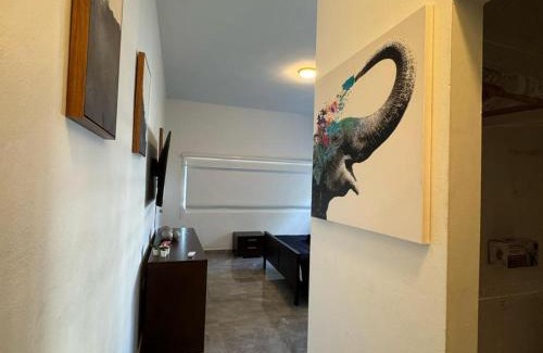 Parque Apartamento | Elegant 1-Br Penthouse in Condado!