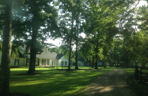 Monticello Cabaña | Elegant 2 Bedroom, 2 Bath Guest House close to Tallahassee. Whole Home Generator