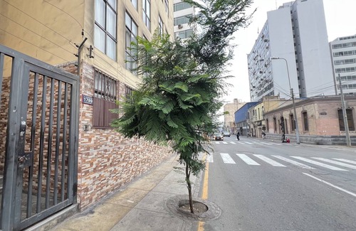 Distrito de Cercado de Lima Apartamento | ¡Departamento en el centro de la ciudad! Ideal para familias y estadías largas