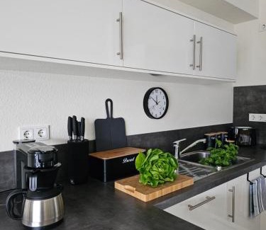 Kues Apartamento | Elegant Apartment with Direct River View, Balcony and Parking in Bernkastel-Kues