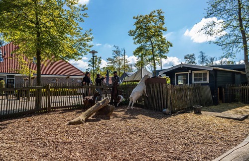 Velsen-Zuid Chalet De Esquí | Acogedor chalet a 25 km de Ámsterdam