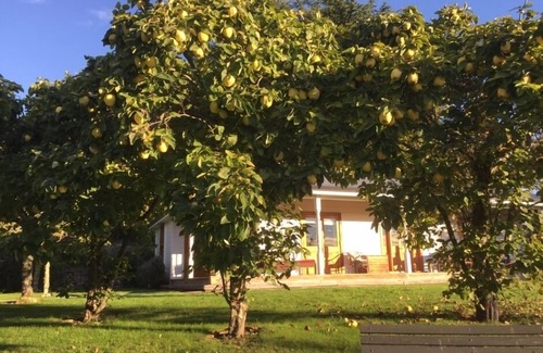 Havelock North Cabaña | Elegante casa de campo en un entorno tranquilo