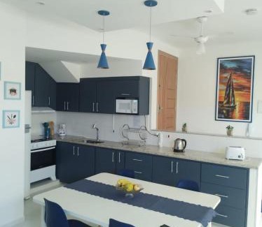 Sao Carlos Casa | Elegante Duplex Oceanico da Elena Super Cozinha USP y UfSCAR