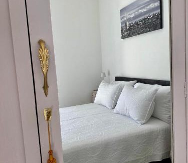Vittoria Apartamento | Eleganza e Comfort a Torino-Appartamento Gabriele