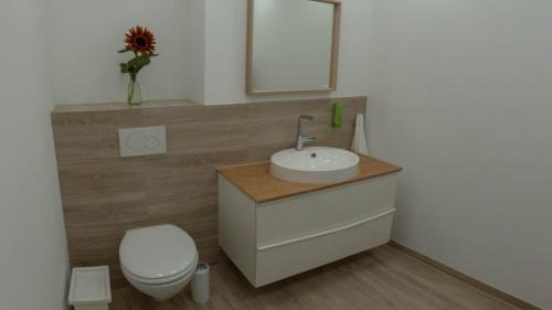 Sanderau Apartamento | Eleonoras Ferienwohnung in Würzburg Stadt mit Terrasse im Erdgeschoss inklusive eigenen Parkplätzen vor der Tür