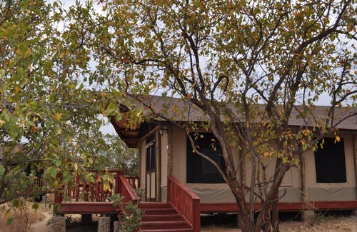 Tarangire National Park Otro | Elephant Rock Luxury Camp Tarangire