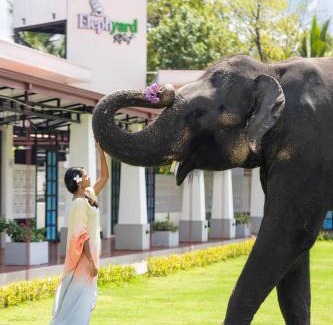 Mahiyanganaya Complejo | Elephyard Retreat