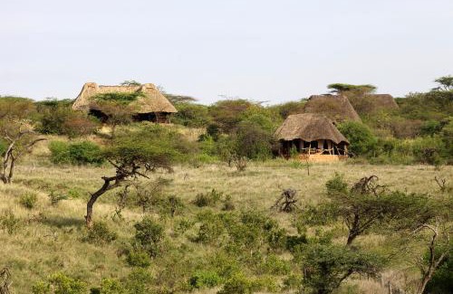 Meru Otro | Elewana Lewa Safari Camp