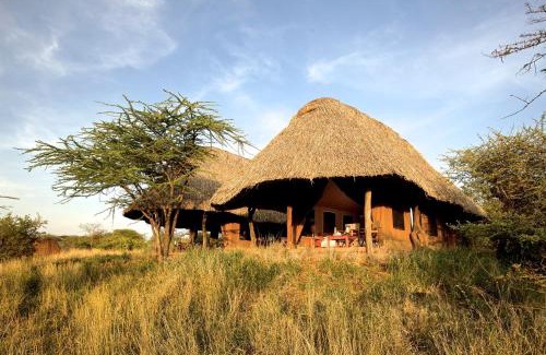 Meru Otro | Elewana Lewa Safari Camp