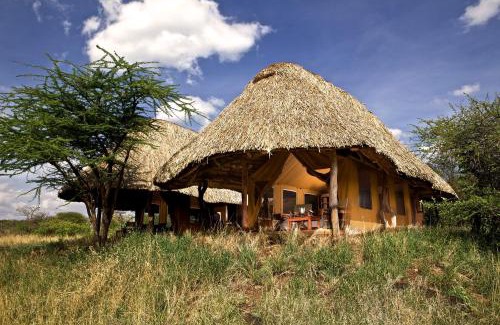 Meru Otro | Elewana Lewa Safari Camp