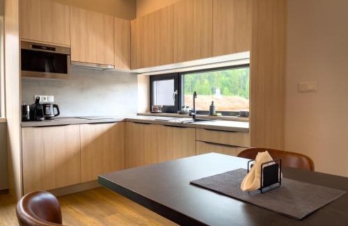 Ruzomberok Apartamento | Eliška apartment - modern mountain loft apartment in Ski resort Malino Brdo