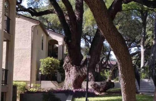 North San Antonio - SAT Condominio | Eli’s and Emm’s Condo