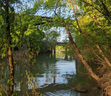 Lookout Valley Neighborhood Association Casa | Elise Cabin Forest Retreat 5 Mins To Downtown