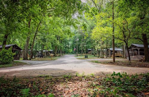 Lookout Valley Neighborhood Association Casa | Elise Cabin Forest Retreat 5 Mins To Downtown
