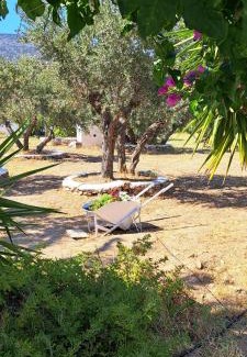 Platis Gialos Apartamento | Elisso Villas