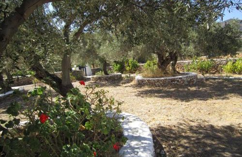 Platis Gialos Apartamento | Elisso Villas