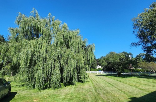 Park Forest Village Casa | Elite historic Atherton estate centrally located and 2.4 miles from stadium.