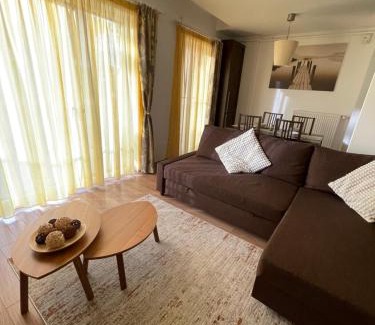 Timisoara Apartamento | EliteVista by Cristian