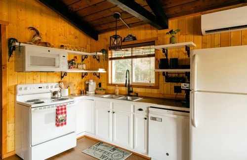Packwood Cabina | Elk Cabin, Hot Tub, AC, Fire Pit, River Access