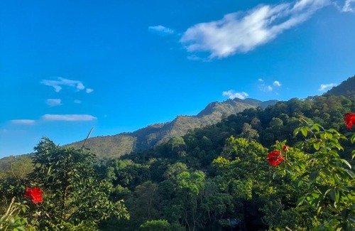 Ella Hotel | Ella Greens & Roots Resort