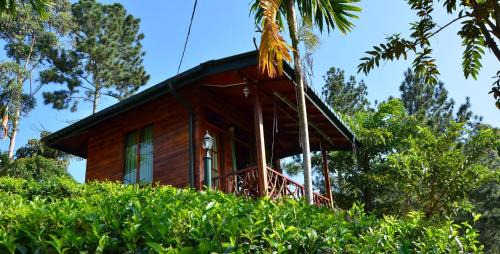 Ambagollapathana Casa | Ella Mount Relax Cottage