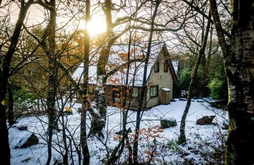 Farley Casa | Ellastone, woodland lodge with hot tub for 8