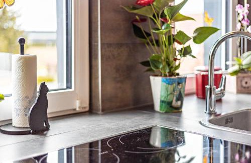 Aulendorf Apartamento | Elli
