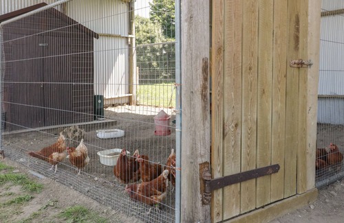 Ebbesborne Wake Cabaña | ELM, family friendly, with a garden in Ludwell