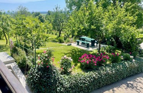 Moravske Toplice Casa | Elton384